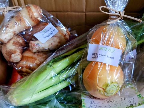 自然栽培野菜Mセット7～9種類