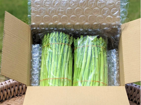 お子様にも大人気！　『スナックアスパラガス』　700g