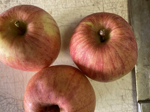 すぐ発送！超遅もぎ農薬半減栽培葉取らず樹上完熟サンふじ5k28玉家庭用　蜜入りもあり❣️　りんご