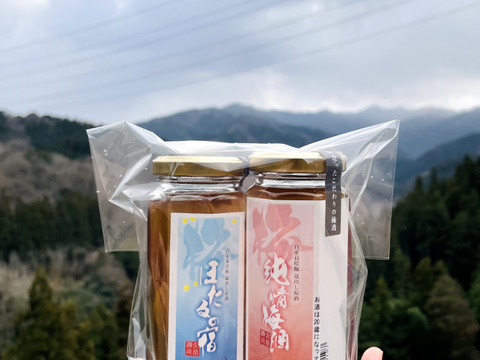 甘辛梅酒　100ml ２本セット　のみくらべ　ギフト　辛口梅酒　本格梅酒　梅の実入り