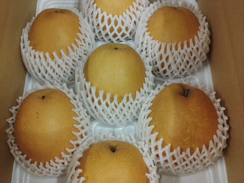 【鳥取産】王秋梨！(5kg)