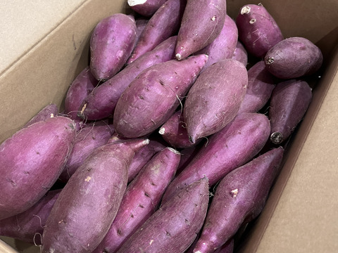 【新芋】シルクスイート　Sサイズ　5kg さつまいも