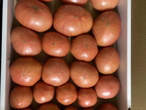 【訳アリ特価✨】ふぞろい大玉トマト　4㎏箱