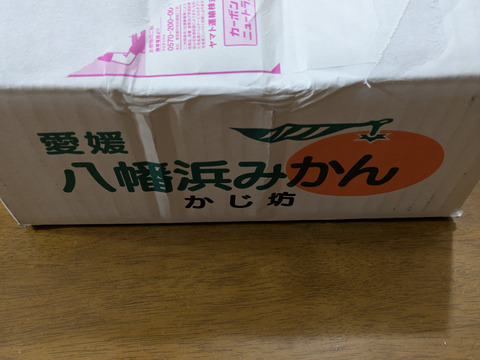 浜ノまどんな　「愛媛果試第28号」
家庭用　2ｋｇ  
2025年11月末発送予定！