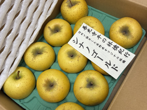 シナノゴールド　総決算お値下げ！　お徳用　訳あり　ご家庭専用 ご好評販売中　3キロコース　(10個から12個前後入り）
