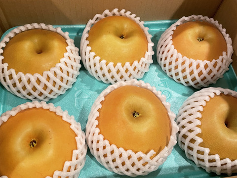 令和7年9月発送【予約】梨 南水 良品　3kg 長野県産　大好評‼️