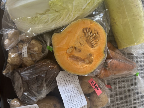 ♪人気商品♪『農薬、化学肥料不使用』【2~3人前】
季節の野菜Sセット（8-9品）「群馬県高崎産」