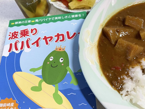 青パパイヤをカレーで美味しく！『波乗りパパイヤカレー』（１人前✖️１０個セット）