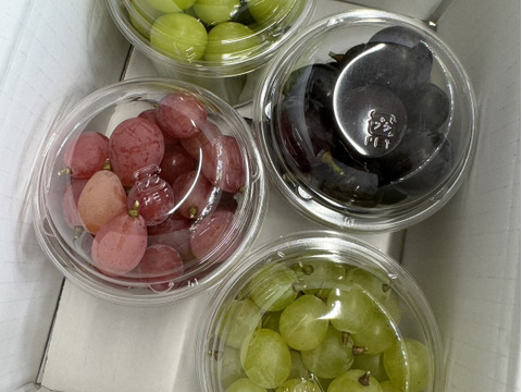 【訳あり】藤稔・紅義・白峰・シャイン マスカット・粒パック300ｇ×4個（藤稔×1・紅義×1・白峰×1・シャインマスカット×1）