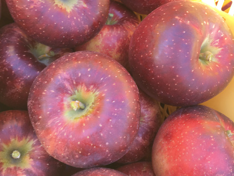 売り切れ【秋映】家庭用✨シャキッと食感！味も色も濃い秋のりんご！