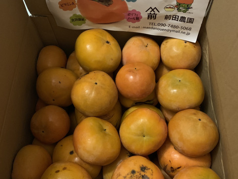 ☆彡秋の大豊作祭☆彡和歌山県かつらぎ町産富有柿(加工用)全サイズ10kg。