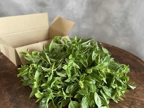 有機スイートバジル300g