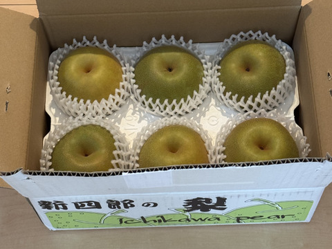 夏の定番🍏　千葉県産【幸水】3㎏『6～9玉入』市川のなし・フルーツキャップ個装