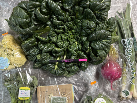 【大好評(^^♪】双葉農園の”イチオシ”の7種の野菜セット　 〜from 名水の里　神奈川県秦野市