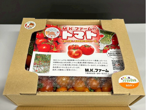 パリッと！新鮮！ミニトマト+ミディトマト詰め合わせセット 1.2kg【A-C品】