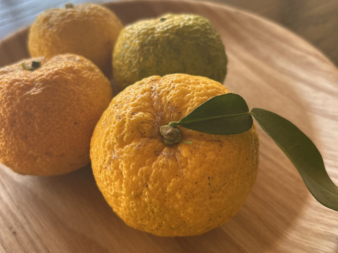 訳あり｜【期間中農薬不使用】豊田市旭産 『柚子』 2kg　※梱包込