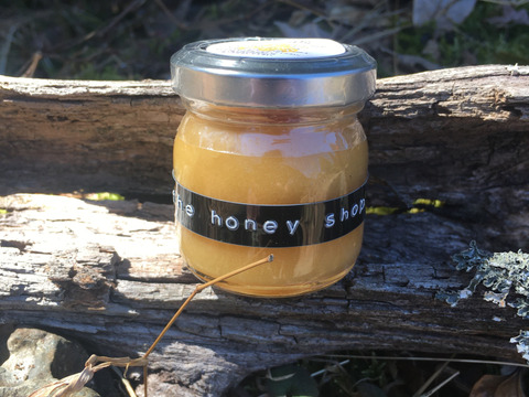 日本蜜蜂の非加熱の生ハチミツ【発酵蜜/50g】【天然】日本ミツバチ
ニホンミツバチ