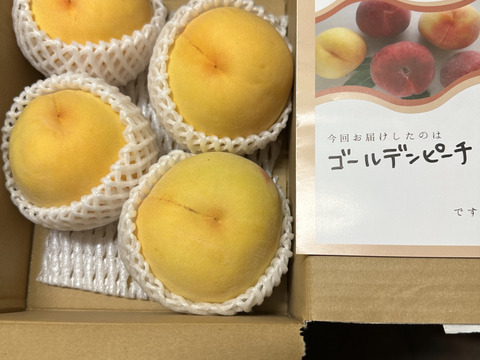 【まるでマンゴー!?】ゴールデンピーチ!!1.5kg