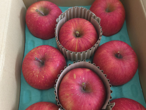 【サンふじ】（2kg・6～9個入り）パリパリ・ジューシーお得な家庭用