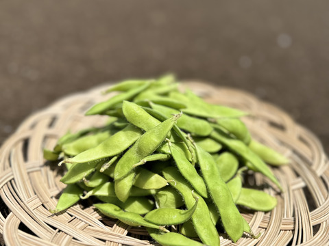 ⚠️今季ラスト⚠️🎵やめられない、止まらない、枝豆🫛🎵
【不揃い品】大人のおつまみに‼️お子様のおやつに‼️
良質なタンパク質や、鉄分が豊富なため夏バテ対策にもおすすめ🌟