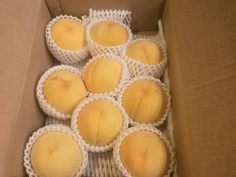 そろそろ終わり！昨年大好評‼️【まるでマンゴー!?】ゴールデンピーチ!!３kg