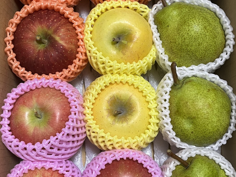 近日中発送！りんご ラフランス 詰合せ 約3kg フルーツボックス♪