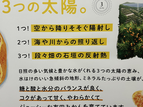 【ご家庭用】冬の定番、大人気！有田みかん10キロ