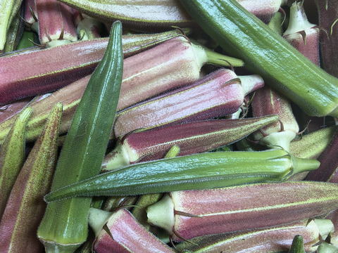 オクラがたっぷり入る夏野菜セット　4種8袋★パチャママ農園