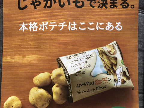 【こだわりの逸品！】「玉手農場オリジナルポテトチップス（うすしお味）」12袋