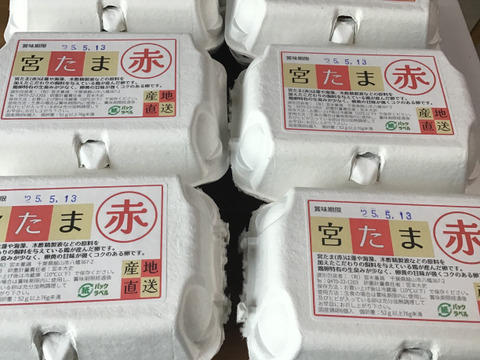 味と鮮度のこだわり卵！宮たま(赤)×40個