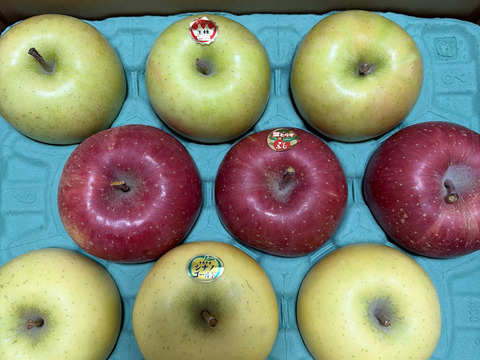 【3種食べ比べセット】サンふじ　シナノゴールド　王林　（9個～12個）3キロ箱使用