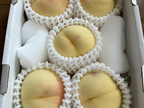🍑【農家の朝食】黄金桃小箱【3〜6個】