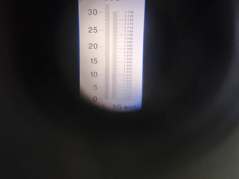 【冬ギフト】【お歳暮、お年賀、家族団らんにも】(指定日無し)【ななか】400g2パック  高級ホテルザ・リッツ・カールトン東京で使用いちご糖度40度くらいを4度計測しました
