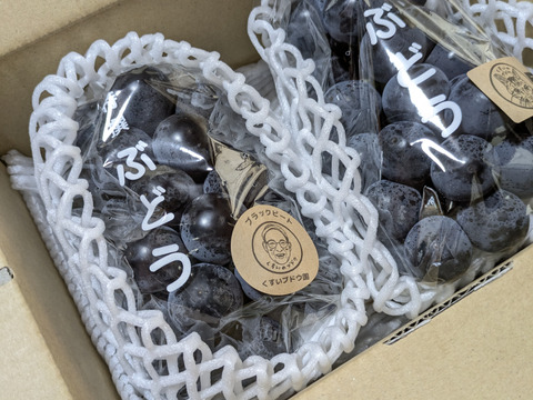 家庭用大粒ぶどうおまかせセット