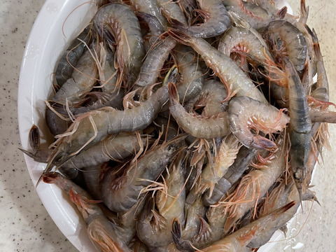 高級エビ　三種セット