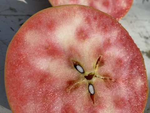 赤果肉りんご　きらめき✨