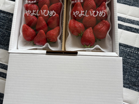 果汁たっぷり❗やよいひめ『群馬いちご』320g×4トレー（2箱）