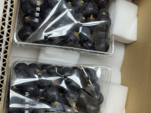 【限定価格】ぶどう【ブラックビート】ご家庭用(訳あり品)粒売りパック詰め1kg 山梨県産　種なし