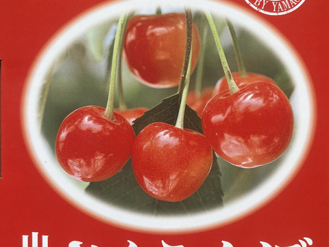 (特別価格！！！)山形県産　さくらんぼ　紅さやか　訳あり700g