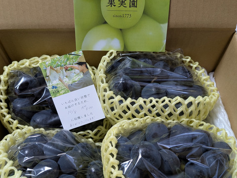家庭用》ナガノパープル（4〜6房）長野県須坂市産・クール便：長野県