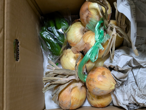 和美様専用‼️おまかせ野菜セット‼️