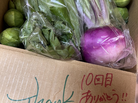 革命児！ふわ甘～芽キャベツ　箱込み2ｋｇ