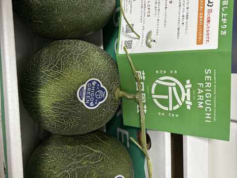 訳アリ肥後グリーン小ぶり3玉（合計5キロ以上）