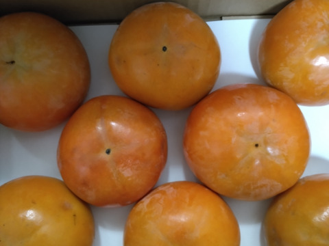 ☆彡秋の大豊作祭☆彡　和歌山県産　　富有柿　極甘(家庭用)8個入り　L～2Lサイズ