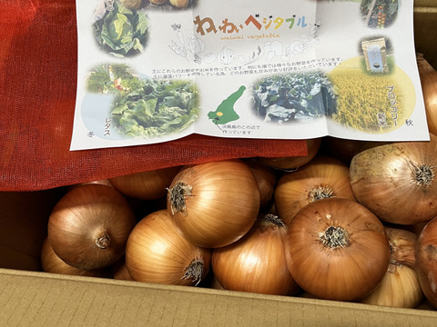 大地の恵み！淡路島完熟玉ねぎ🧅【シャーロットオニオン　輝玉（キラ玉✨）】(10Kg)