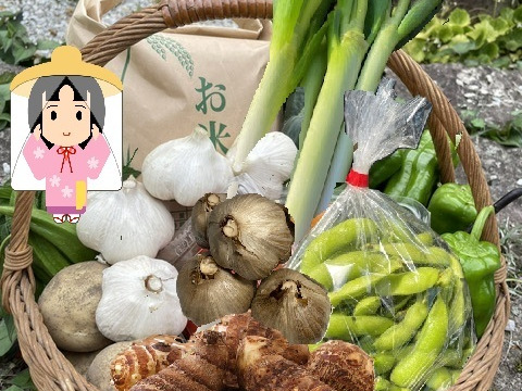 野菜 5kg お米5kgとにんにく（白黒）＆季節野菜セット（枝豆・里いも入）：秋田
