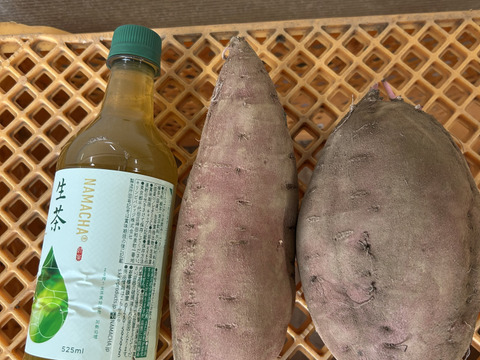 期待の新製品❣️ホクホク栗かぐや(ちょっと大きめ2Lサイズ3kg)