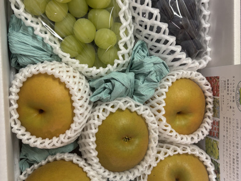 完熟シャインマスカット&ピオーネ&和梨セット(大)