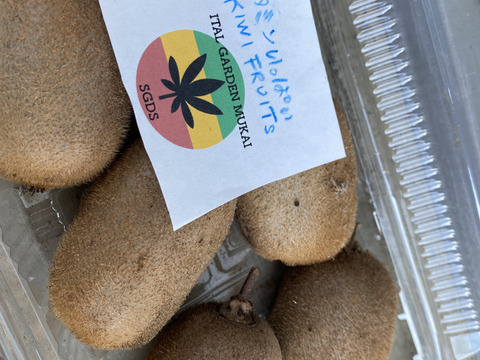 ビタミンいっぱい　ヘルシーキウイ🥝　GO GREEN!（1.5KG)