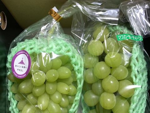 美味しくてプレミアムなレアブドウ　小指の想い＆マスカサーティーン (約1.0㎏ 2房)